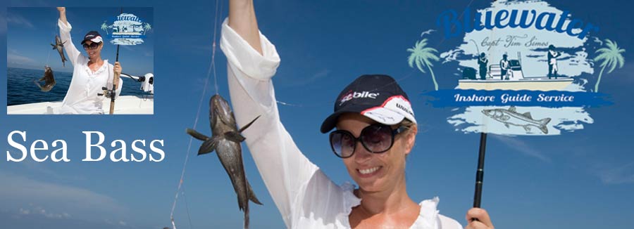 Fishing Vero Beach and Fort Pierce for snook - mid photo