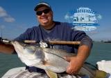 20 pound snook