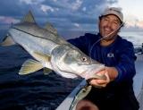 Patrick with a huge snook