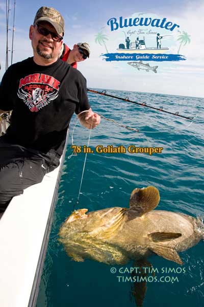 Nice grouper - fishing with Capt Simos near Ft. Pierce