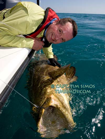 Goliath Grouper charter fishing near Vero Beach