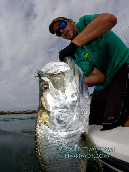 big tarpon vero beach guide