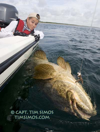 Ft. Pierce Goliath Grouper guide 