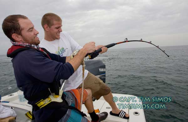 charter fishing Goliath Grouper Vero Beach