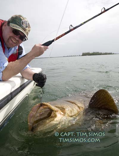 fishing guide Goliath Grouper Vero Beach