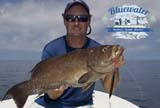 Grouper fishing Vero Beach area