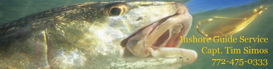 Inshore Guide Service Vero Beach Redfish photo