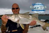31 inch snook caught during a Fort Pierce fishing charter - guide Tim Simos.